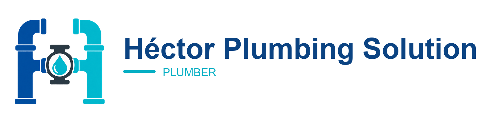 Héctor Plumbing Solution